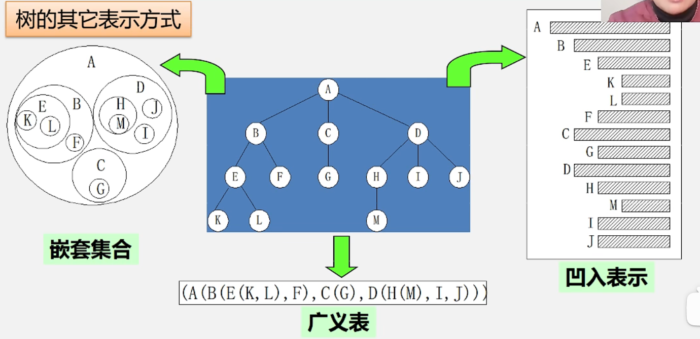 树的其它表示方式