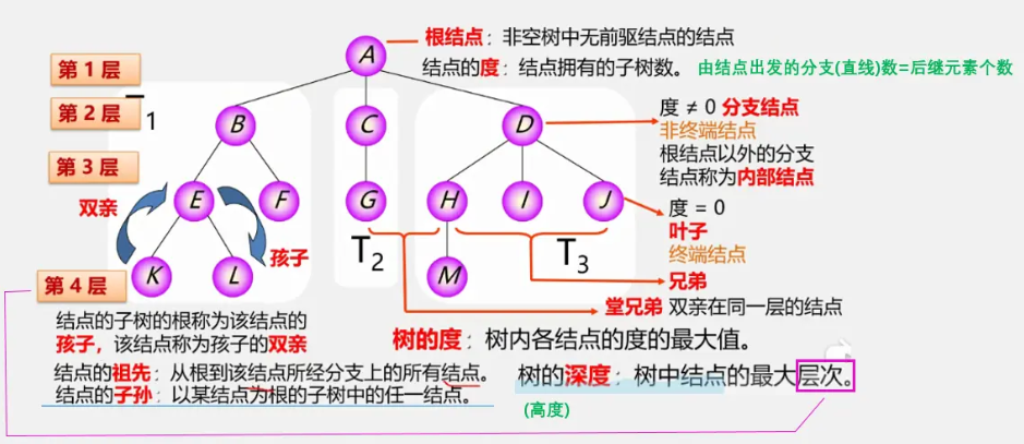 树的基本术语