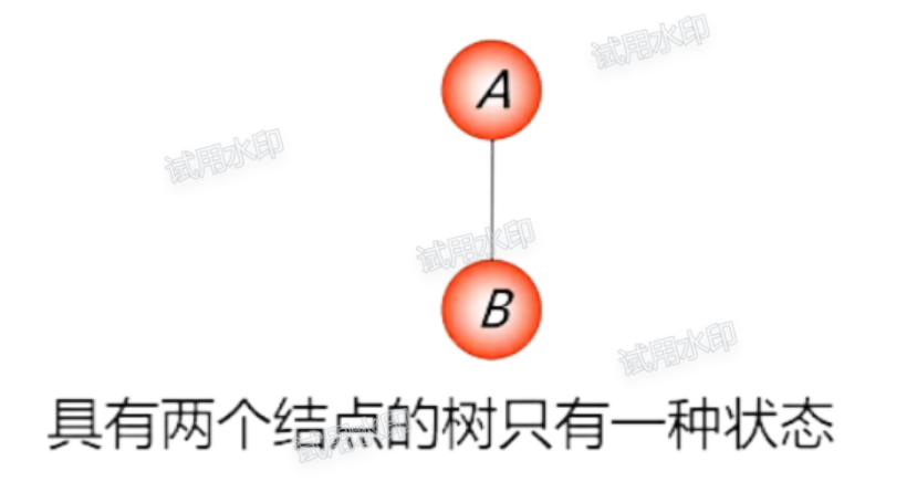 具有两个结点的树只有一种状态