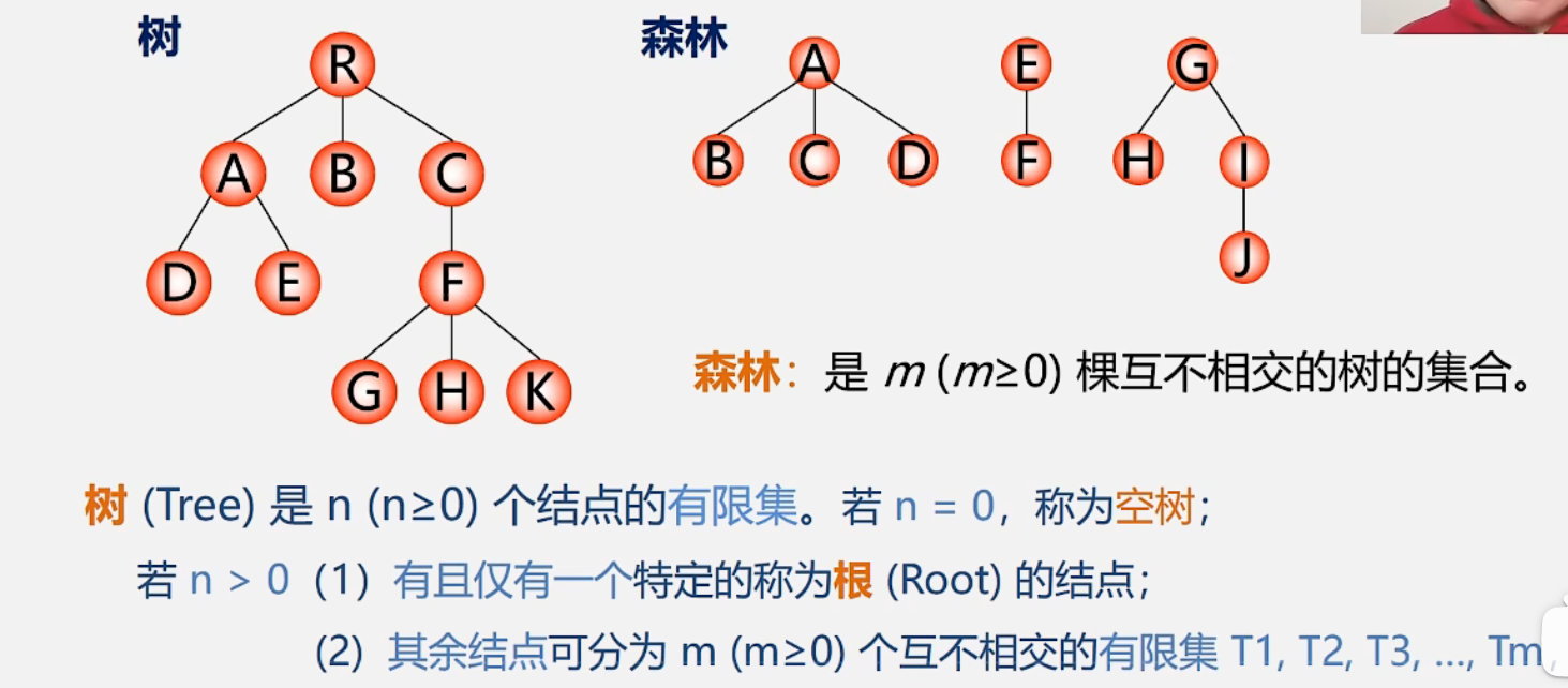 树和森林